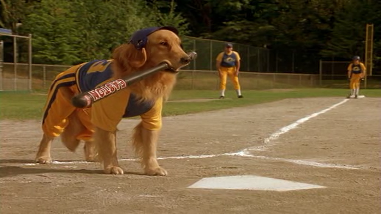 Air Bud Collection background